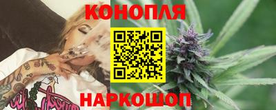 прущие грибы Бийск