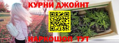 прущие грибы Бийск