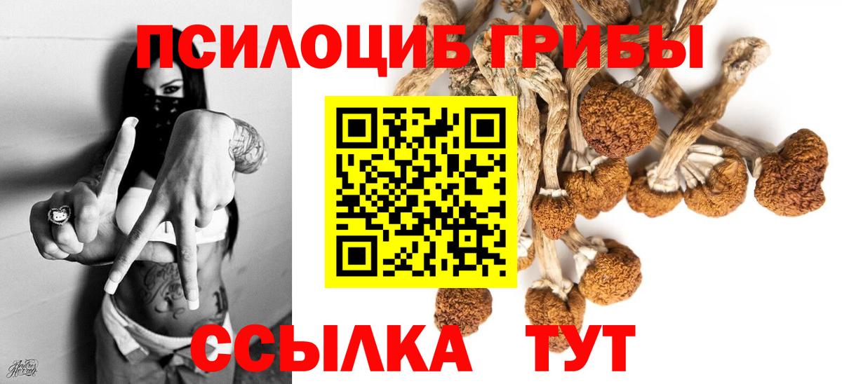 Псилоцибиновые грибы MAGIC MUSHROOMS Волжск